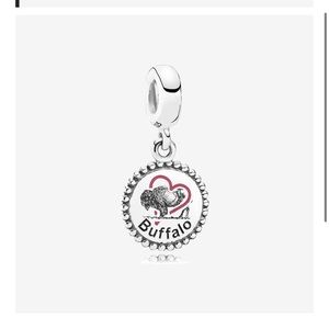 Buffalo NY Pandora Charm